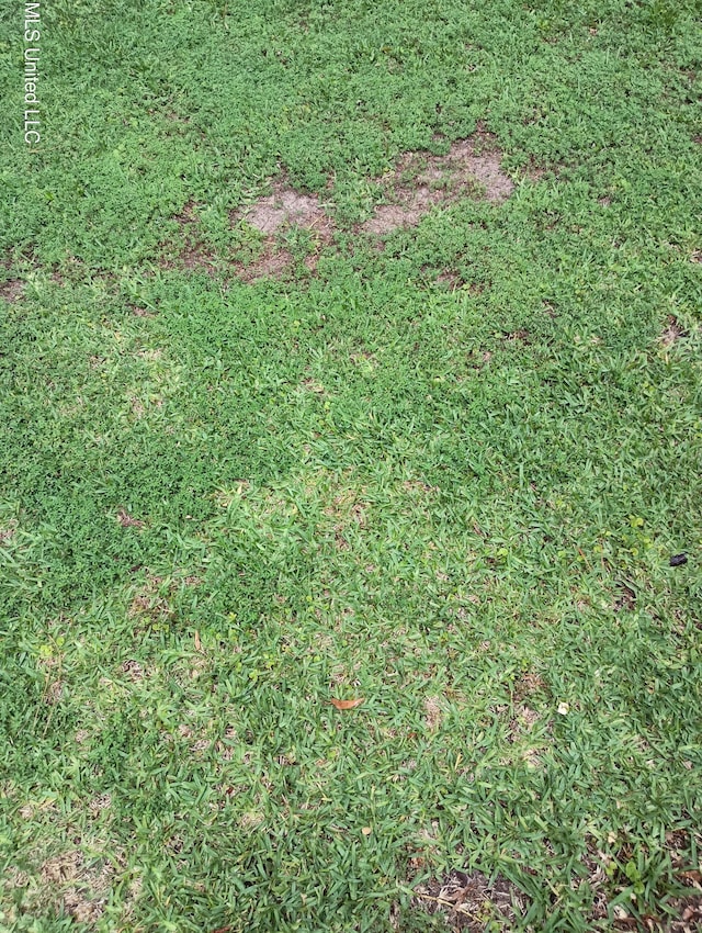 Forest Ave, Jackson, MS 39206