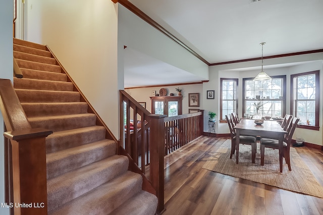 dining room with crown molding and dark wood-type flooring