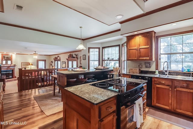 kitchen with a wealth of natural light, range with electric cooktop, a kitchen island, and light hardwood / wood-style floors