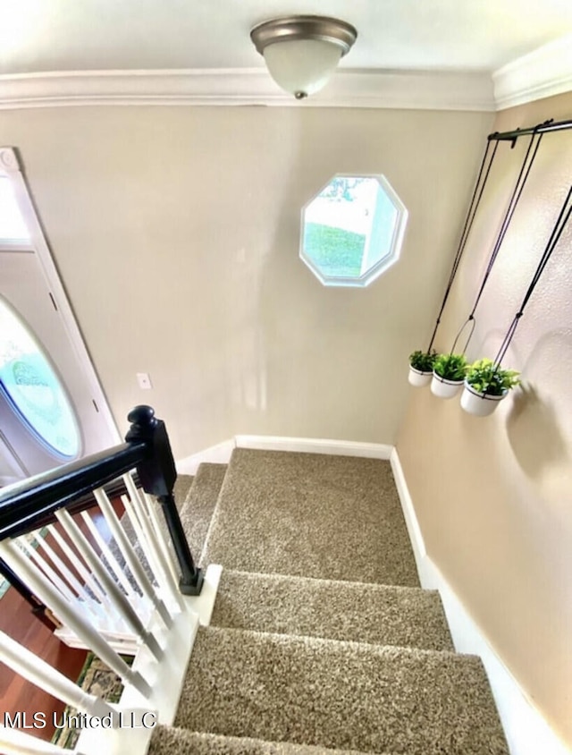 staircase featuring crown molding and carpet