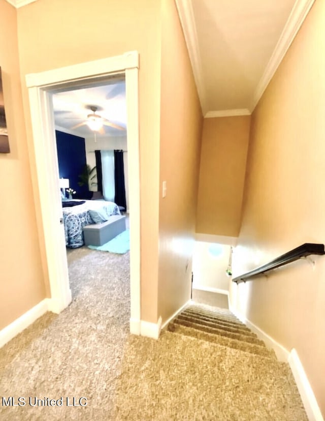 staircase with crown molding, carpet flooring, and ceiling fan