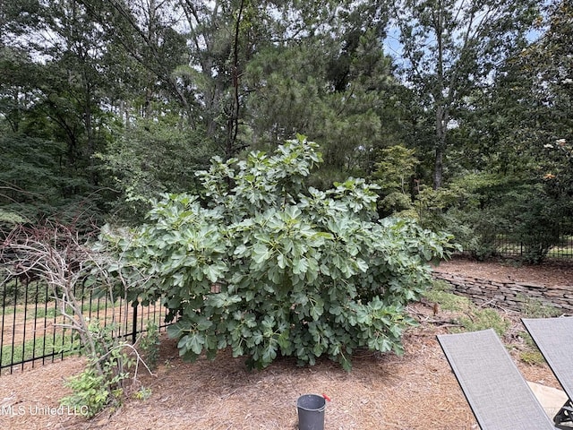 130 Woodmont Way, Ridgeland, MS 39157 - view of yard
