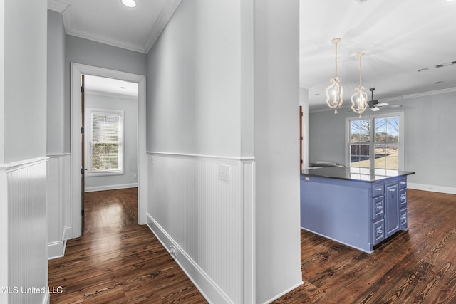 corridor featuring ornamental molding, plenty of natural light, and dark hardwood / wood-style floors