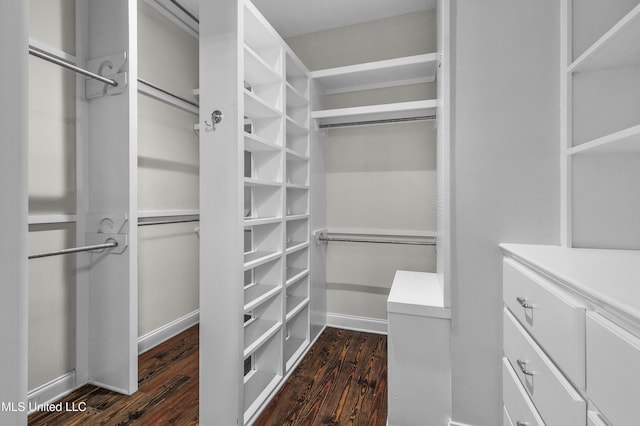 walk in closet featuring dark wood-type flooring