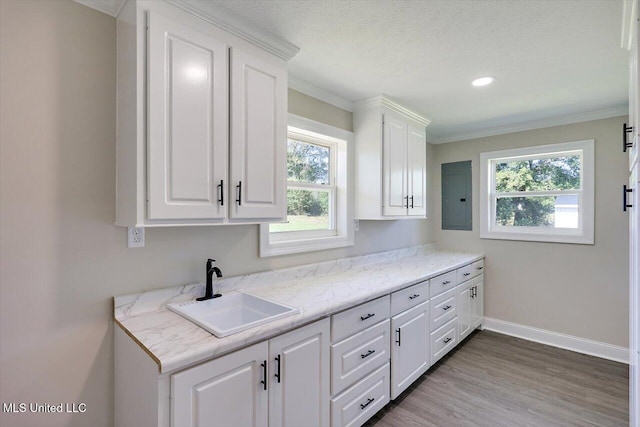 kitchen with sink, electric panel, crown molding, light hardwood / wood-style floors, and white cabinets