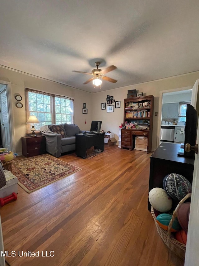 living room with wood-type flooring and ceiling fan