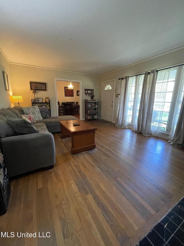 living room featuring wood-type flooring and ornamental molding