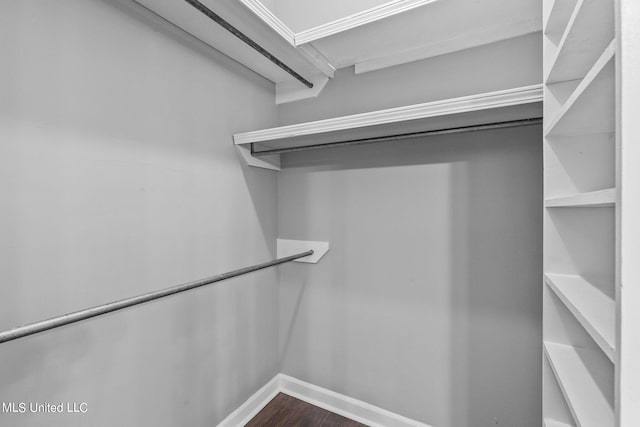 spacious closet featuring dark hardwood / wood-style flooring