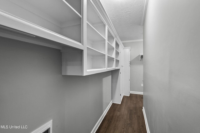 walk in closet with dark hardwood / wood-style floors