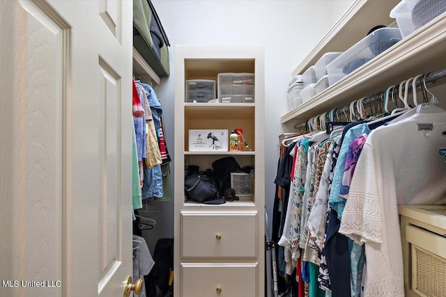 view of walk in closet