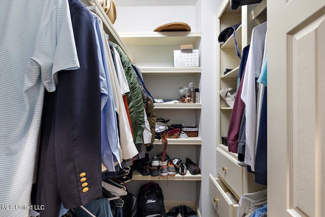 view of spacious closet