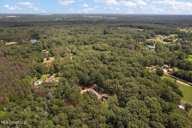 aerial view with a forest view