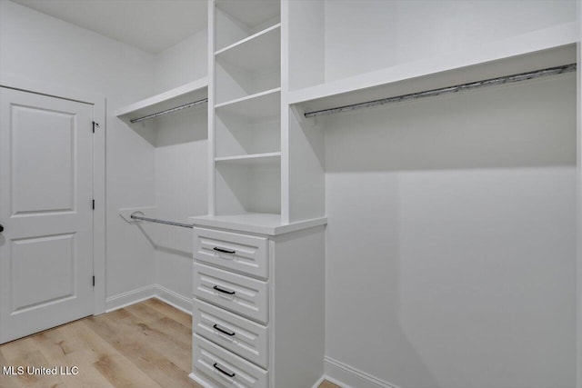 121 Ashby Ridge Dr, Canton, MS 39046 - spacious closet featuring light wood-style flooring