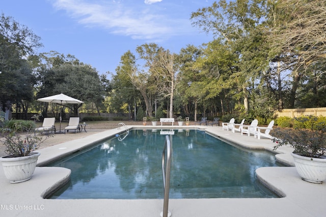 view of pool featuring a patio area