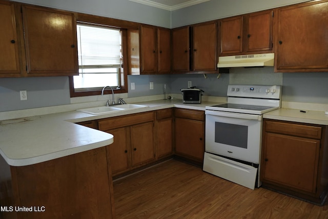 kitchen featuring sink, crown molding, white electric stove, dark hardwood / wood-style flooring, and kitchen peninsula