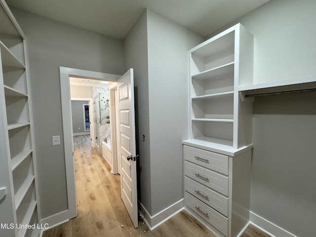 walk in closet featuring light wood finished floors