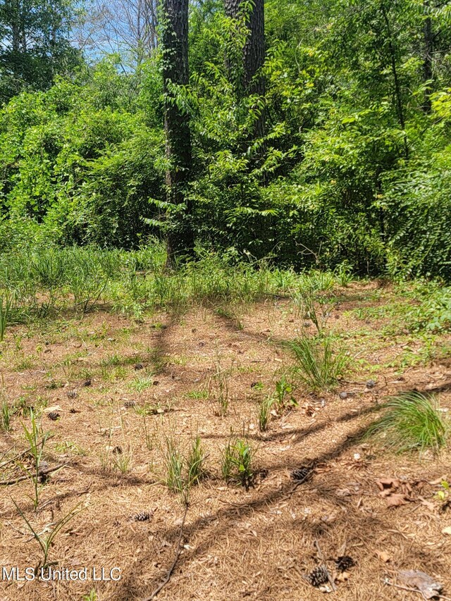 view of landscape