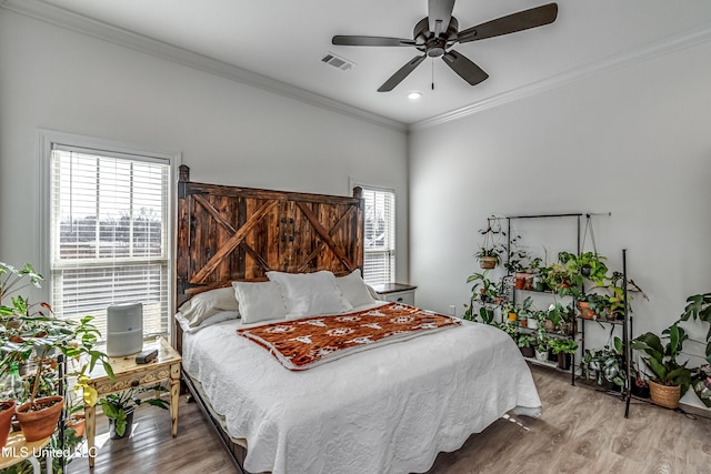 bedroom with multiple windows, hardwood / wood-style flooring, ornamental molding, and ceiling fan