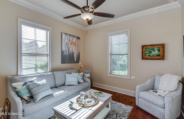 521 Heyward Ln, Madison, MS 39110 - living room featuring ceiling fan, healthy amount of natural light, crown molding, and dark wood finished floors