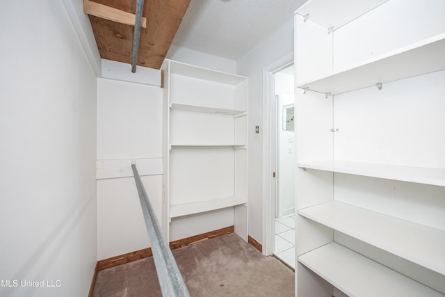 spacious closet with carpet