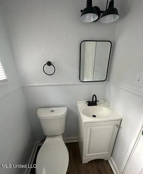 bathroom with vanity, wood finished floors, and toilet