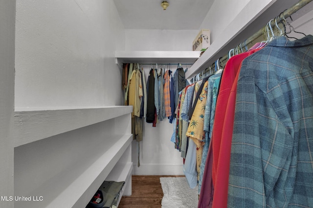 walk in closet with dark hardwood / wood-style flooring