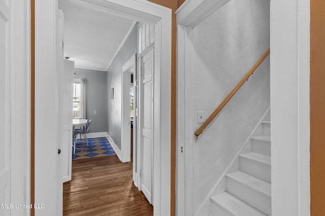 corridor featuring dark hardwood / wood-style floors and ornamental molding