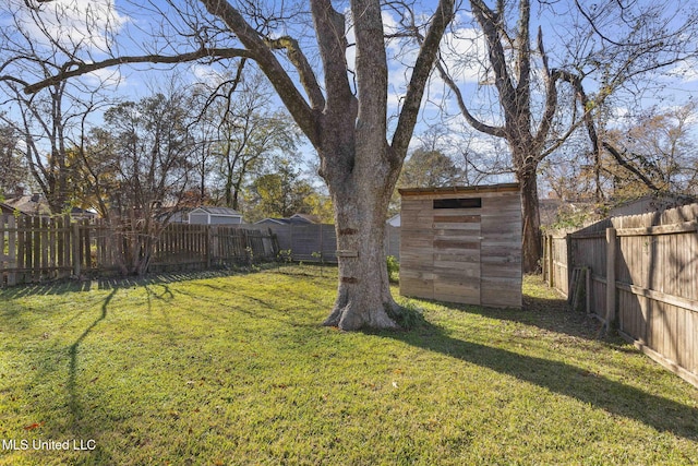 view of yard with a shed