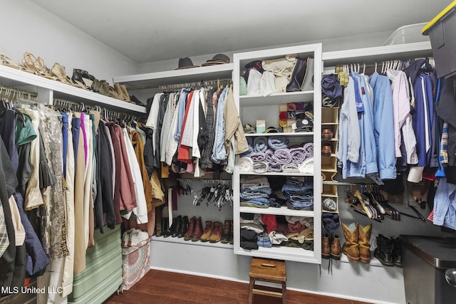101 Marion Dr, Clinton, MS 39056 - walk in closet with wood finished floors
