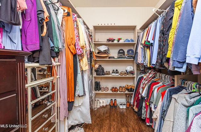 walk in closet featuring dark hardwood / wood-style flooring