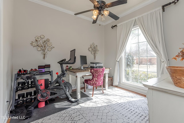 office featuring crown molding, plenty of natural light, and ceiling fan