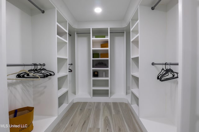 walk in closet with light wood finished floors