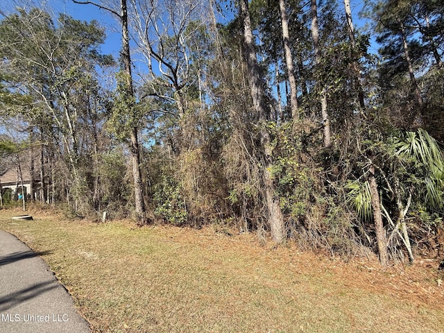 6349 Apelehama Rd, Diamondhead MS, 39525 land for sale