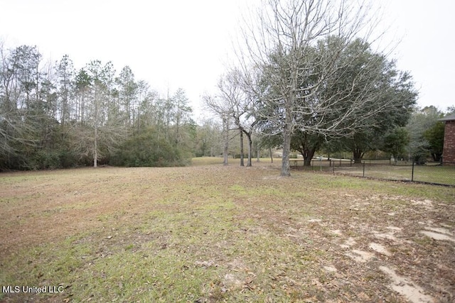 4 Mitchell Cv, Carriere, MS 39426 - view of yard