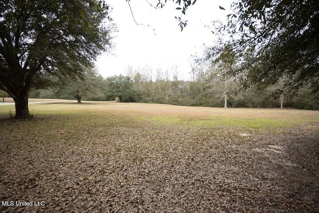 4 Mitchell Cv, Carriere, MS 39426 - view of green lawn