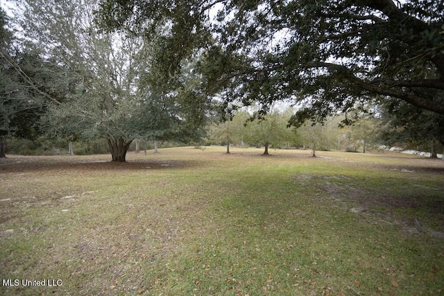 4 Mitchell Cv, Carriere, MS 39426 - view of grassy yard