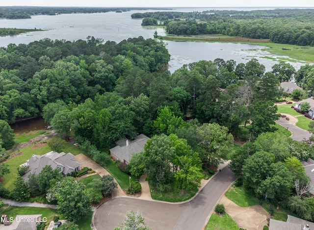 1025 Monet Cv, Brandon, MS 39047 - view of property location with a large body of water and a heavily wooded area