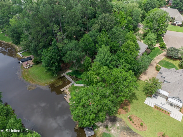 1025 Monet Cv, Brandon, MS 39047 - aerial view of a large body of water