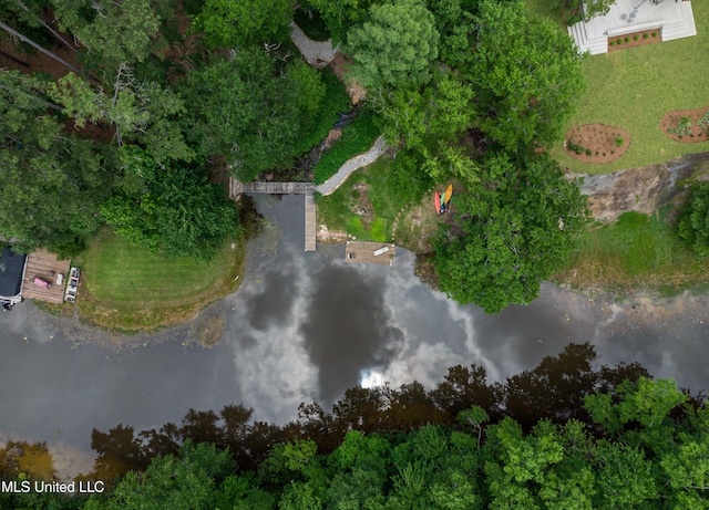 1025 Monet Cv, Brandon, MS 39047 - view of property location with a large body of water