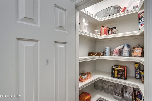 1025 Monet Cv, Brandon, MS 39047 - view of pantry