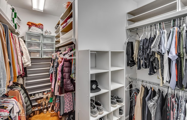 1025 Monet Cv, Brandon, MS 39047 - view of spacious closet