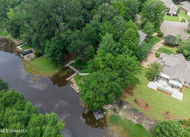 1025 Monet Cv, Brandon, MS 39047 - view of property location with a large body of water