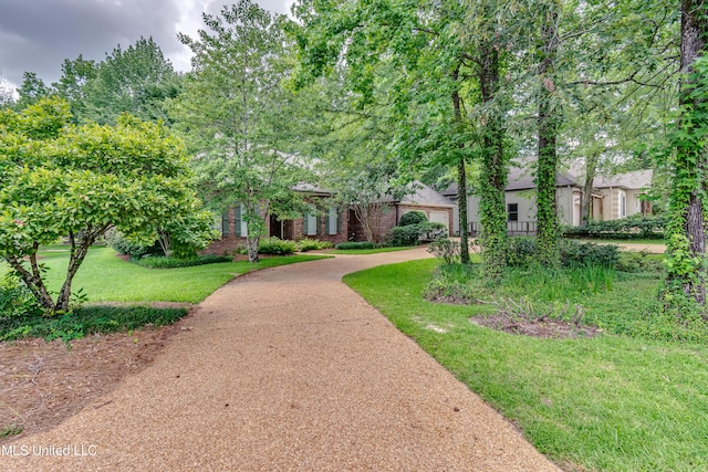 1025 Monet Cv, Brandon, MS 39047 - view of property's community featuring a yard and a garage
