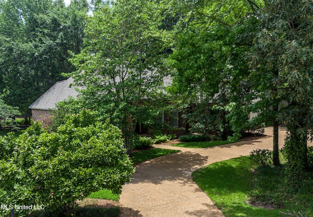 1025 Monet Cv, Brandon, MS 39047 - view of surrounding community