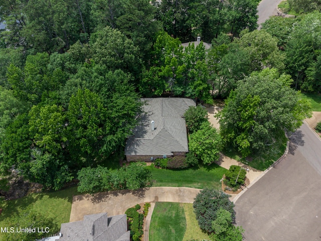 1025 Monet Cv, Brandon, MS 39047 - aerial overview of property's location