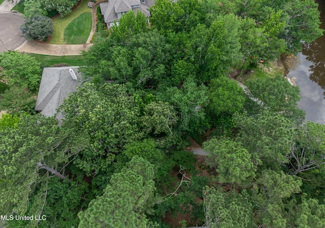 1025 Monet Cv, Brandon, MS 39047 - aerial overview of property's location with a large body of water