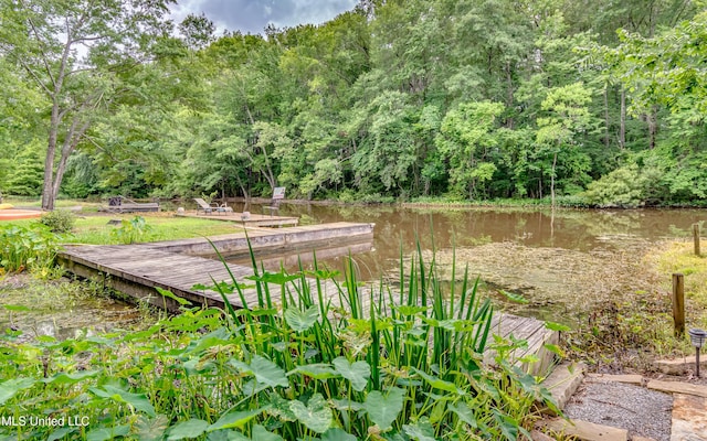 1025 Monet Cv, Brandon, MS 39047 - view of home's community featuring a forest view and a water view