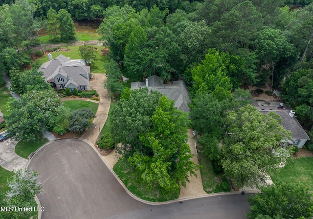 1025 Monet Cv, Brandon, MS 39047 - aerial view of property and surrounding area