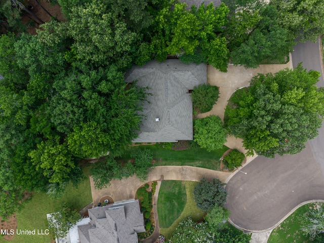 1025 Monet Cv, Brandon, MS 39047 - aerial overview of property's location