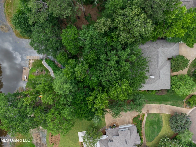 1025 Monet Cv, Brandon, MS 39047 - aerial view of property's location